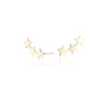 Puces-doreilles-grimpeur-trois-etoiles-diamelle-by-jarraya-1.jpeg