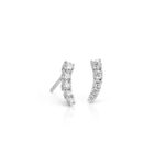 Puces d’oreilles chenille